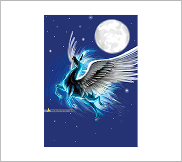Lucian Portfolio Img